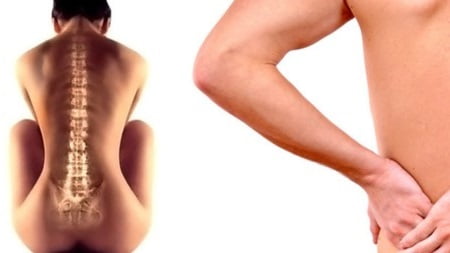 От заболеваний каких органов может болеть спина